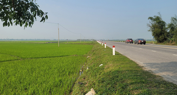 Thu hồi đất lúa rồi đấu giá cao ngất ngưởng -0