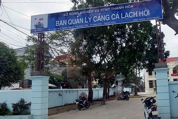 Đình chỉ chức vụ Bí thư Chi bộ Cảng cá Lạch Hới -0