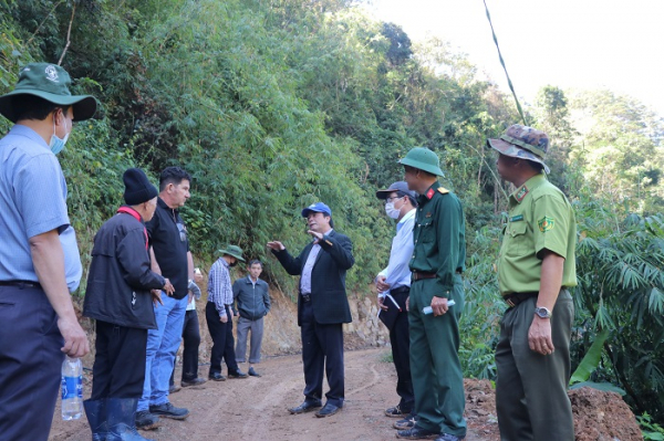 Chuyển hồ sơ vụ phá rừng tại VQG Bidoup – Núi Bà sang cơ quan điều tra hình sự quân đội -0