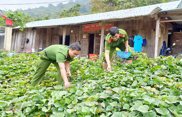 Ghi dưới chân dãy Ngọc Linh -0