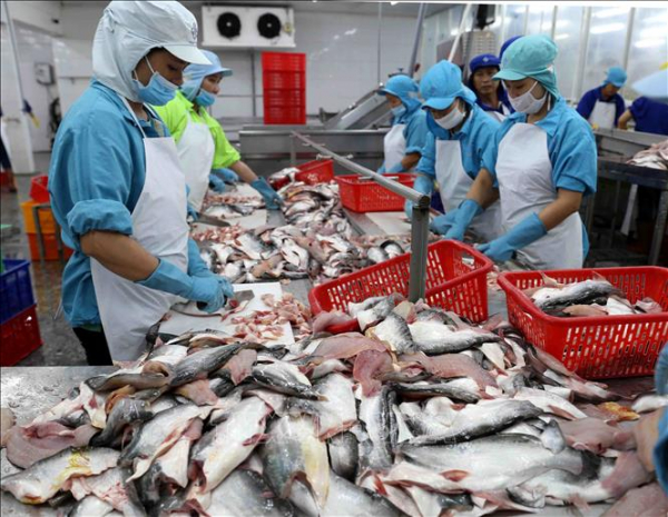 Vietnam's pangasius exports see optimism -0