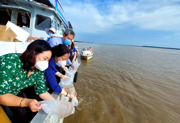 Thả 4,3 triệu tôm, cua giống ra biển -0