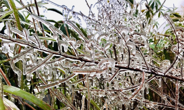 Lào Cai: Fansipan xuất hiện băng giá phủ trắng giữa mùa Xuân -0