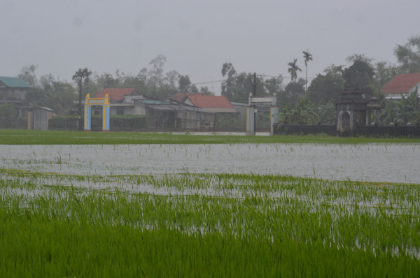 Thừa Thiên-Huế thiệt hại gần 1.000 tỷ đồng do mưa lũ trái mùa -0