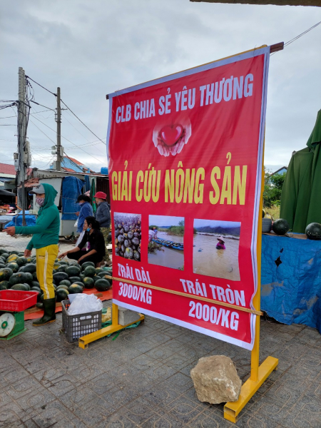 Người Đà Nẵng chung tay giải cứu hàng trăm tấn dưa hấu giúp nông dân Quảng Nam “chạy ngập”  -0