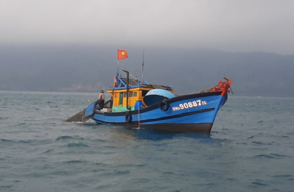 Bắt quả tang tàu giã cào hoạt động trái phép trên vùng biển Thừa Thiên-Huế -0