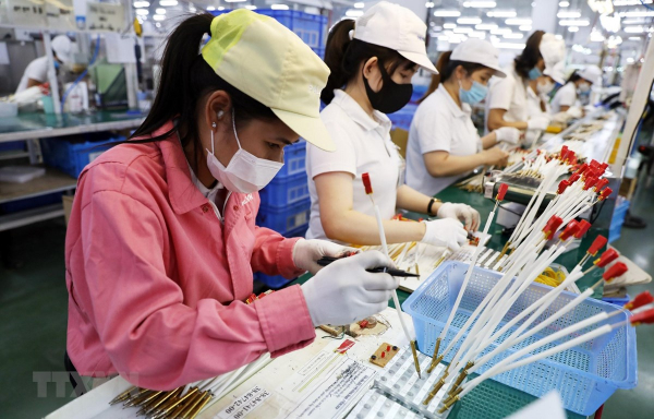 Criteria for Vietnamese business culture deployed in Mekong Delta region   -0