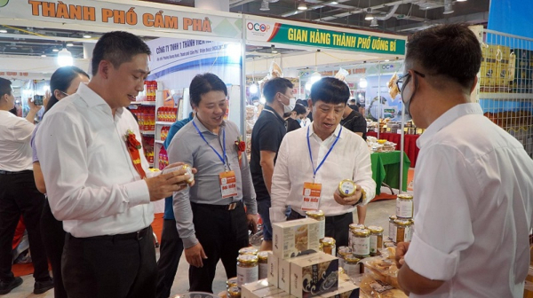 Hỗ trợ doanh nghiệp hoạt động Thương mại điện tử tại Quảng Ninh -0