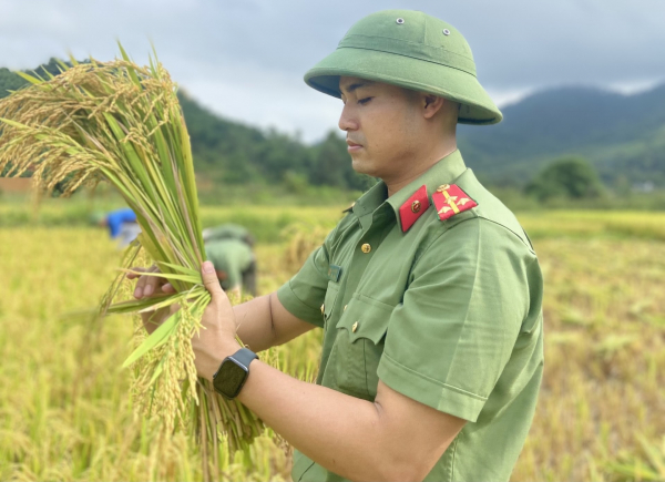 Công an giúp người dân thu hoạch lúa chạy mưa lốc -0