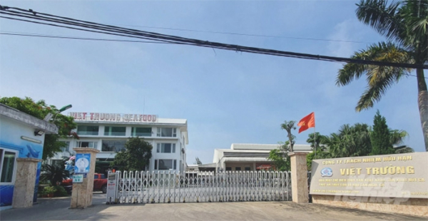 Công ty thủy sản ở Đồ Sơn, Hải Phòng gây ô nhiễm môi trường -0