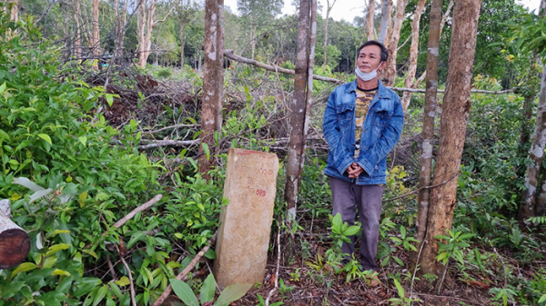 Khởi tố, bắt giam nhiều đối tượng phá rừng bao chiếm đất ở Phú Quốc -0