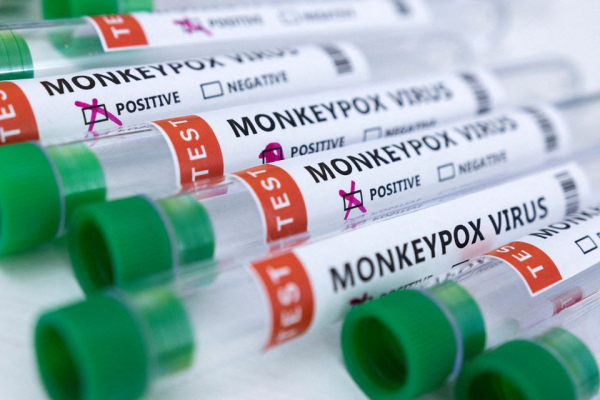 Bệnh đậu mùa khỉ mở ra thị trường mới cho các công ty dược phẩm  -0