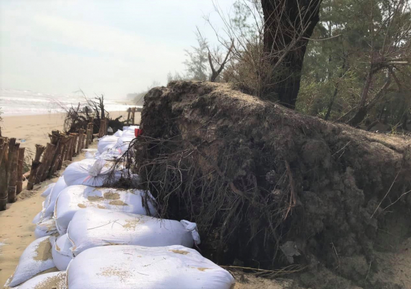 Thừa Thiên-Huế đầu tư 160 tỷ đồng khắc phục sạt lở bờ biển -0