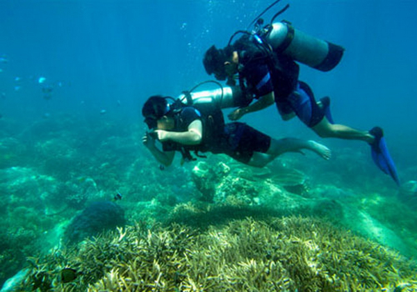 Tạm dừng du lịch lặn biển khu vực dễ gây  tổn hại san hô ở vịnh Nha Trang -0