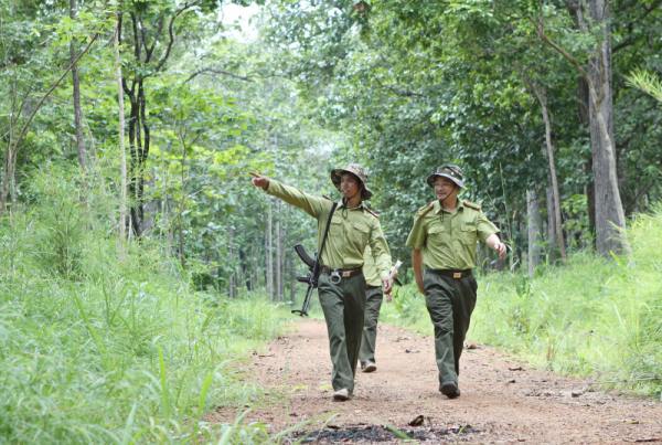 Đổ máu bảo vệ khu rừng khộp “độc nhất vô nhị” ở Việt Nam -0