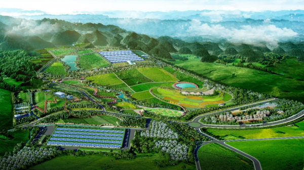 Thiên đường sữa Mộc Châu - dự án “khủng” của hai “ông lớn” ngành sữa -0