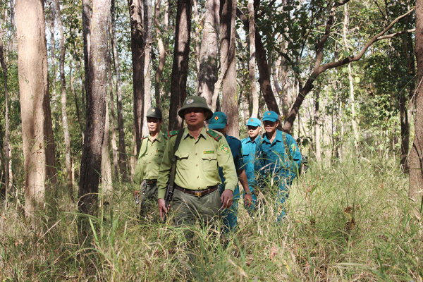 Đổ máu bảo vệ khu rừng khộp “độc nhất vô nhị” ở Việt Nam -0