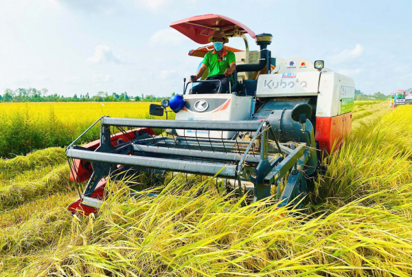 Khơi thông thị trường xuất khẩu cho gạo Việt Nam -0