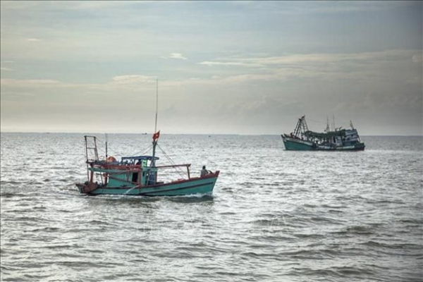 Vietnam ready to cooperate and share experience in combating illegal fishing -0