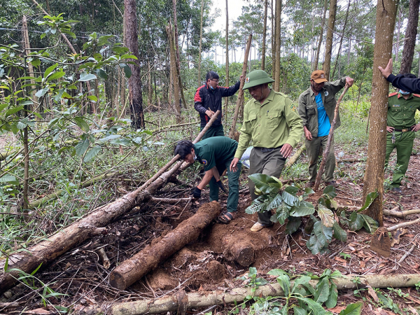 Phát hiện gần 10 điểm chôn giấu gỗ dưới lòng đất ở Lâm Đồng -0