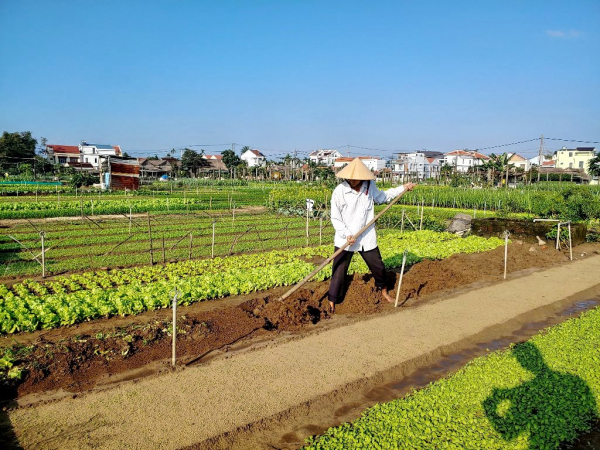 Hội An: “Nét hoa Nghề Hội An” tôn vinh giá trị văn hóa nghề truyền thống -1