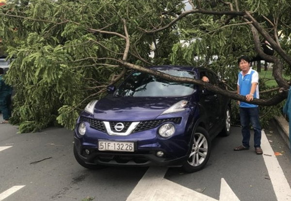 Giông lốc mạnh, hàng loạt cây me tây ngã đè 3 xe ô tô -0