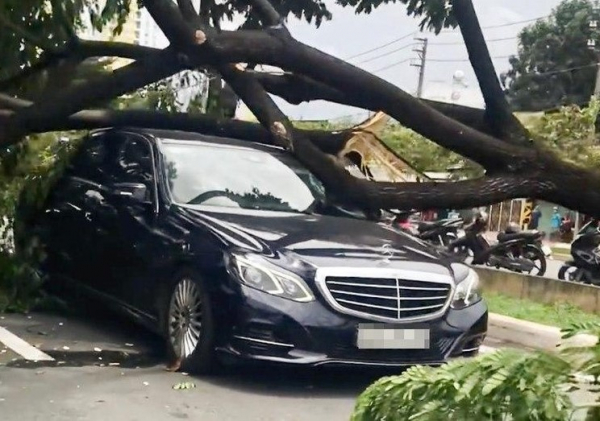 Giông lốc mạnh, hàng loạt cây me tây ngã đè 3 xe ô tô -0