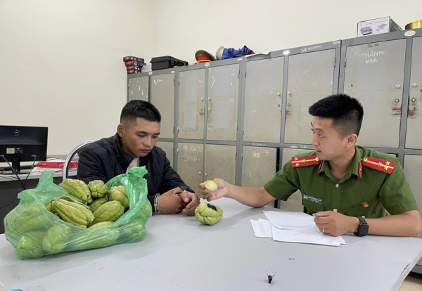 Người đàn ông giấu ma túy trong quả su su bị bắt giữ -0