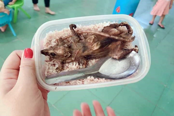 Xác minh thông tin học sinh vùng cao Quảng Nam ăn cơm hộp với thịt chuột -0