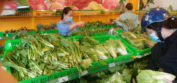 TP Hồ Chí Minh vào cuộc kiểm tra rau “đạt chuẩn VietGAP” dởm -0