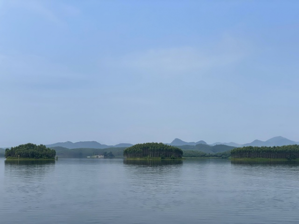 Thủ tướng Phạm Minh Chính khảo sát một số công trình, đồ án, dự án tại Yên Bái -0