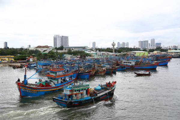 Đà Nẵng:  Hối hả ứng phó bão Noru -1