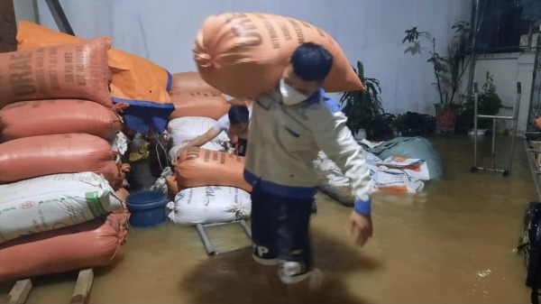 Nghệ An: Trắng đêm đội mưa gia cố đê -0