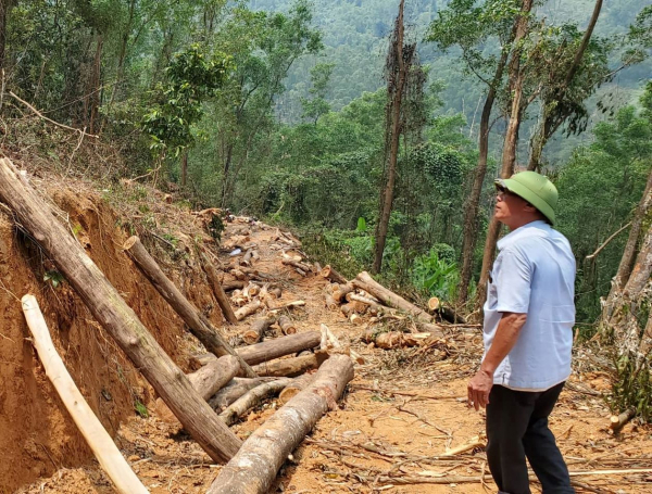 Khai thác gỗ ở rừng phòng hộ, một nông dân bị phạt 60 triệu đồng -0