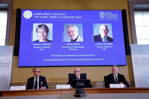 Giải Nobel Hóa học 2022 tôn vinh 3 nhà khoa học nghiên cứu về phân tử  -0