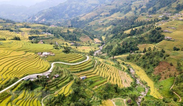 A glimpse of Ha Giang during golden rice season -2