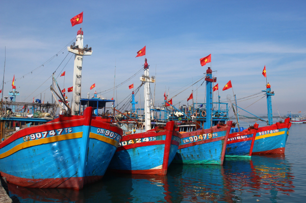 Cấp bách thực hiện các giải pháp ngăn chặn khai thác hải sản bất hợp pháp -0