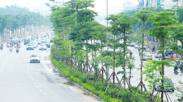 Bộ Công an yêu cầu định giá cây xanh trồng ở Hà Nội giai đoạn 2016-2018 -0