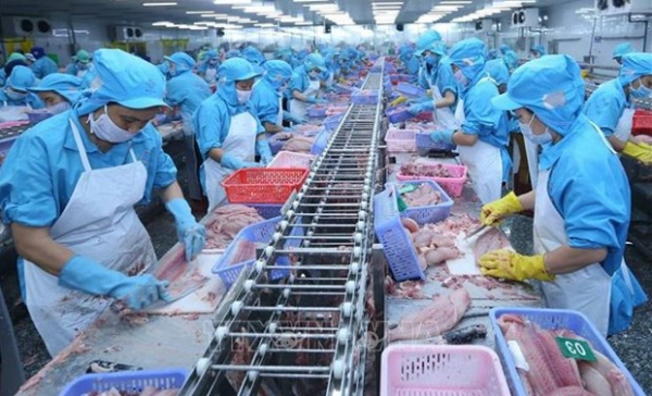 Tra fish exports to ASEAN growing strongly -0