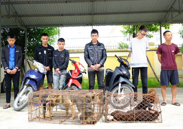  Bắt giữ nhóm thanh niên trộm cắp chó liên huyện -0