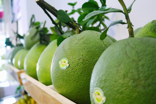 Vietnamese pomelo to enter US market v -1