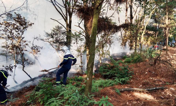 Điều tra nguyên nhân vụ cháy hơn 1ha rừng tại Sóc Sơn -0
