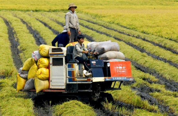 MoFA: Vietnam always attaches importance to ensuring food security -0