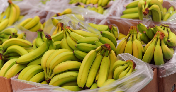 Vietnam officially exports bananas to China -0