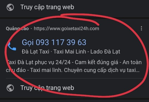 Nhiều hãng taxi ở Đà Lạt bị giả mạo, tính tiền gấp đôi  -0