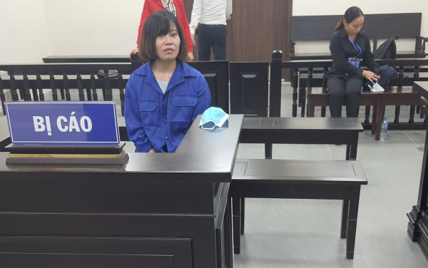 Lừa kinh doanh du lịch, nữ Giám đốc chiếm đoạt hàng chục tỷ đồng -0