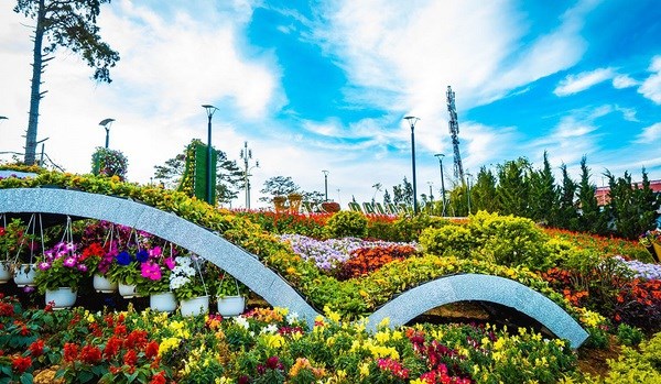 Da Lat Flower Festival 2022 to last for two months -0