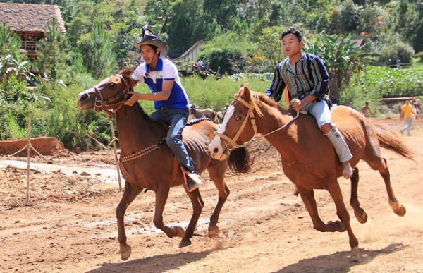 Lễ hội đua ngựa dưới chân núi Langbiang -0