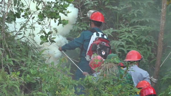 Thực tập phương án chữa cháy rừng tại bán đảo Sơn Trà (Đà Nẵng)  -1