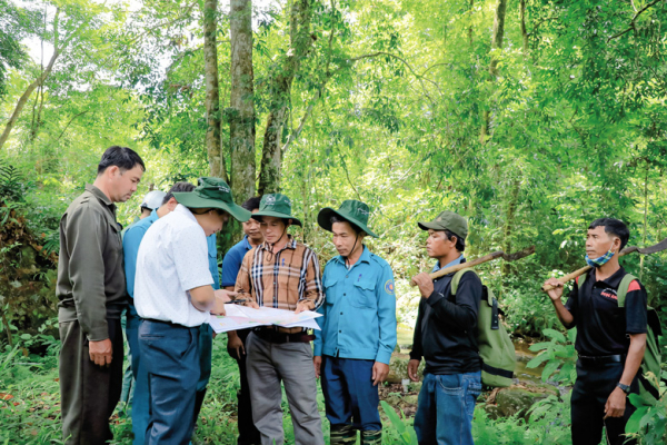 Dấu ấn trong thực hiện chi trả dịch vụ môi trường rừng ở Lâm Đồng -0
